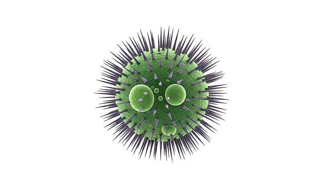 Green spiky virus particle with internal structures - Powered by Adobe