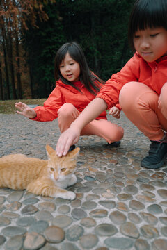 Children Playing With a Cat Outdoors in a Park Setting
