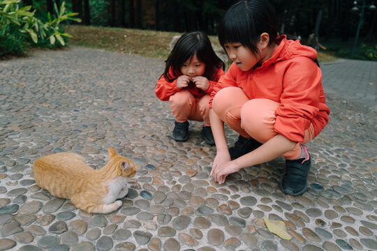 Kids Interact With a Curious Cat in a Park Setting