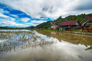 Scenery at Parinding traditional village in Sesean Tana Toraja, Rantepao, Sulawesi