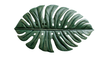 Carved wooden monstera leaf featuring botanical artwork in tropical green, isolated with transparent background