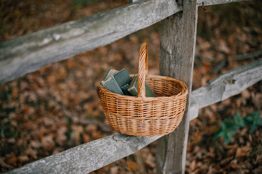 Basket of Old Books on a Wooden Fence