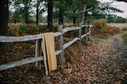 Autumnal Blanket and Basket