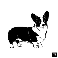 Adobe Illustrator Artwork