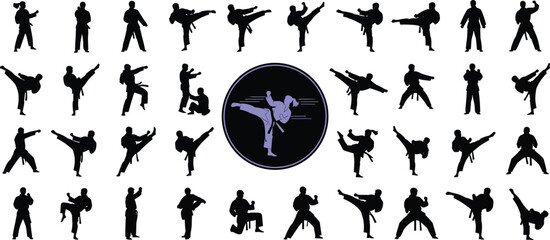Martial arts fighter silhouettes performing kicks and combat stances, karate and taekwondo training poses, dynamic self defense illustration isolated on white background