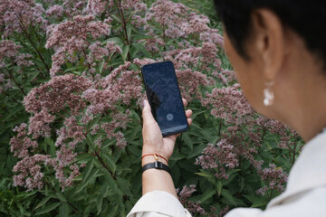 Person taking a picture of flowers in a garden 
