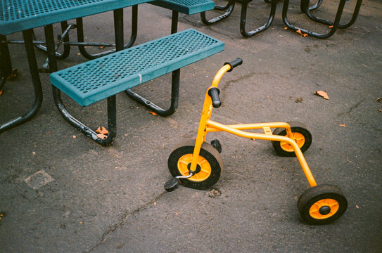 Tricycle in Morning Light