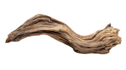 Fototapeta premium Driftwood branch with weathered texture and organic shape, isolated for nature and decoration concepts
