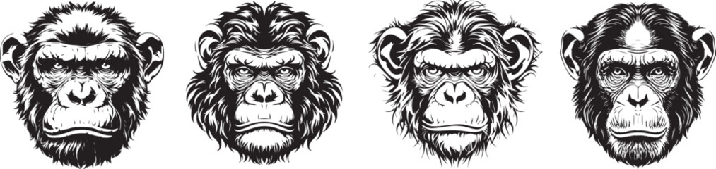 Fototapeta premium A Collection of Chimpanzee Portraits: A collection of detailed, monochrome chimpanzee portraits, showcasing the unique features and expressions of these intelligent primates.