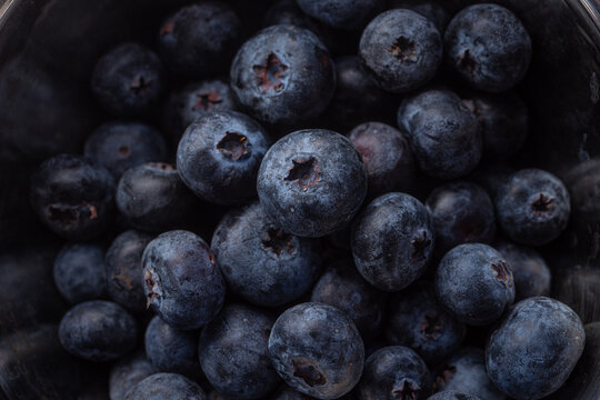 Fresh Blueberries in a Bowl Ready for a Healthy Snack