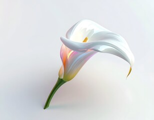 Isolated, lustrous calla lily with a soft gradient backdrop and delicate details