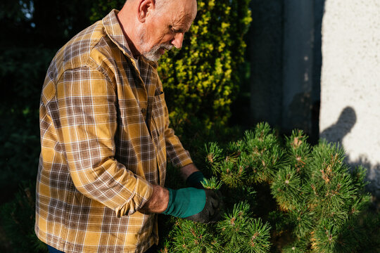 Gardener in Garden