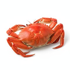 Fresh Red Crab Seafood Shellfish Marine Ocean Protein Delicacy Gourmet Culinary Seafood Platter for Restaurant and Market Use