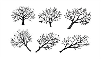 Obraz premium Collection of Six Bare Winter Trees Silhouettes Vector Illustration