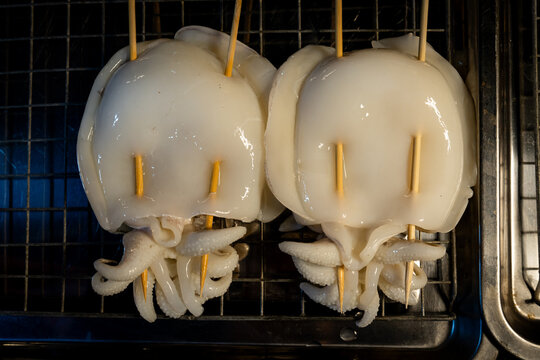 Fresh uncooked squid on a stick for sale on the street in Thailand
