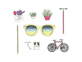 Zbi&oacute;r ręcznie rysowanych letnich przedmiot&oacute;w i roślin na przezroczystym tle, idealny do wakacyjnych projekt&oacute;w.