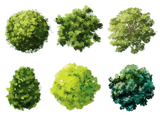 Zestaw sześciu ręcznie rysowanych koron drzew widzianych z g&oacute;ry na przezroczystym tle, idealny do projektowania krajobrazu.