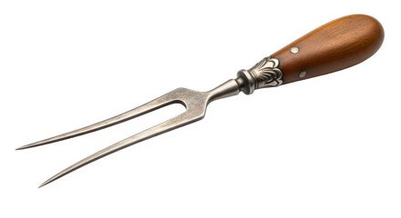 Obraz premium old garden tools