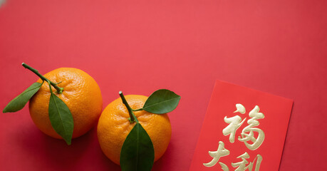 New Year's Greetings: A vibrant image of two oranges with green leaves alongside a festive red envelope featuring auspicious characters, symbolizing good fortune and prosperity for the new year.