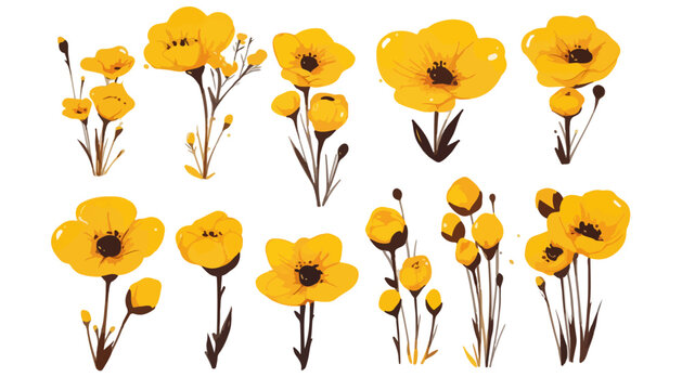Colecci&oacute;n de ilustraciones vectoriales de flores amarillas estilo acuarela, ideales para dise&ntilde;o gr&aacute;fico con fondo transparente.