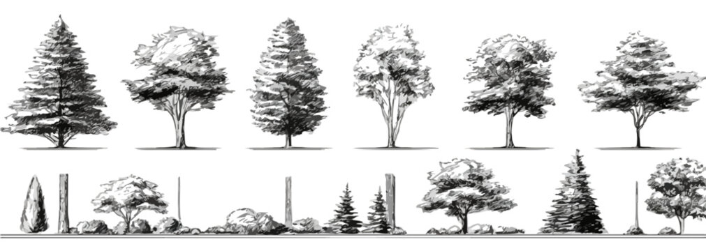 Colecci&oacute;n de &aacute;rboles y arbustos dibujados a mano, ideal para dise&ntilde;o arquitect&oacute;nico y paisajismo, con estilo art&iacute;stico y fondo transparente.