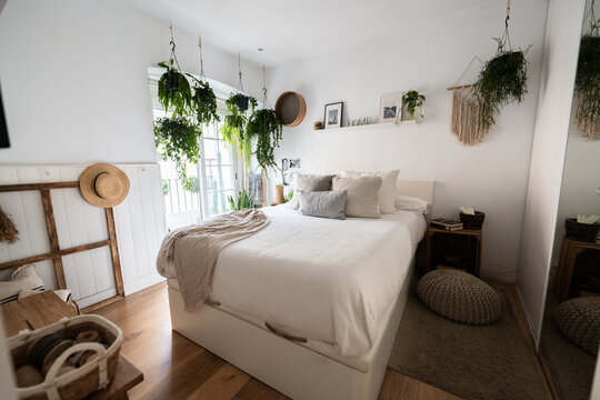 Modern boho bedroom with hanging plants and natural light