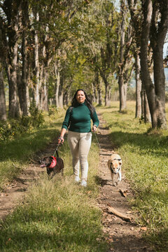 Woman walking two dogs on nature trail during leisure time