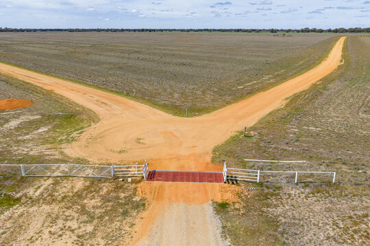 Forked road behind a cattlegrate in a farm gateway