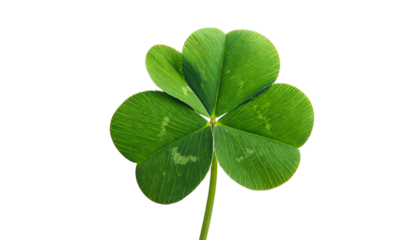Isolated four-leaf clover against a stark black background, showcasing intricate leaf details
