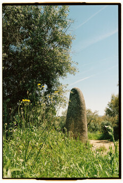 Menhir (Menir dos Almendres) in Alentejo, Portugal