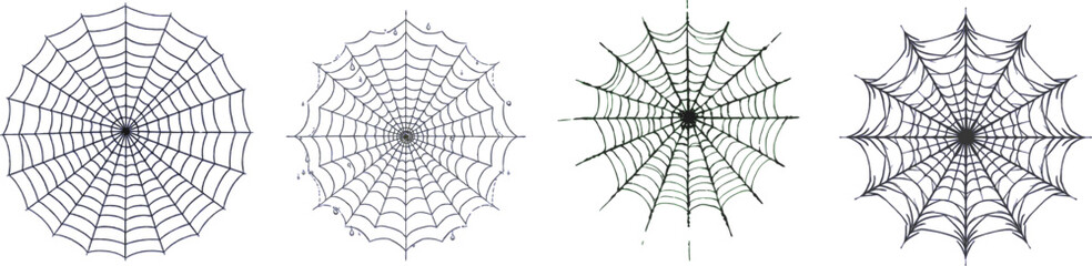 spider web set on a white background