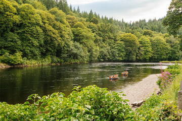 Scenic River Landscape With Boats and Lush Green Forest