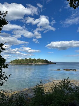 maine coast island with trees