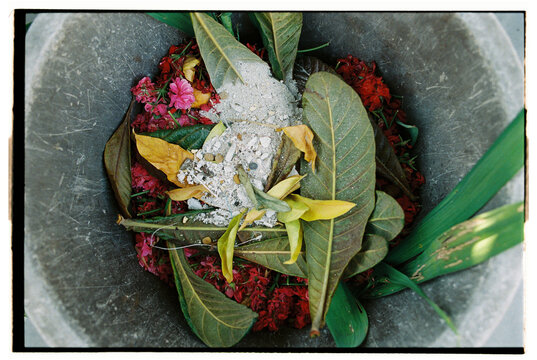 Compost bin filled with dried leaves and ash