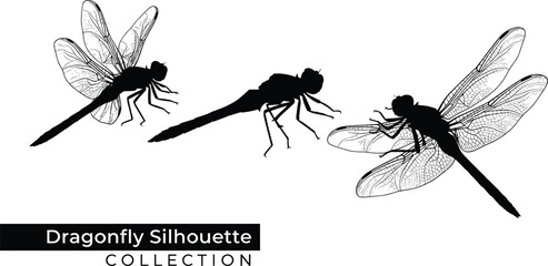 Dragonfly silhouette collection featuring detailed wing patterns and elegant flying insect forms in black vector illustration for nature design projects © Mst