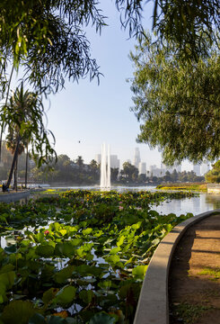 Fountain Los Angeles city  Echo Park nobody