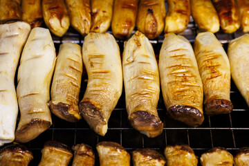 Grilled King Oyster mushrooms on a charcoal grill at a street food market. Close-up of golden brown, savory mushrooms, a delicious vegetarian and vegan-friendly snack.