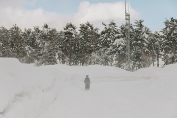 The Gusting Wind Kicks Up Snow, Obscuring the Hiker's Silhouette.