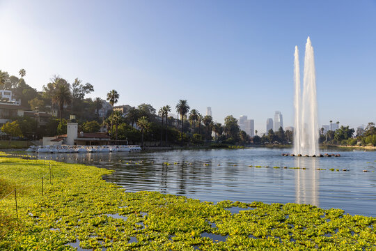  Los Angeles city  Echo Park Fountain neighborhood 