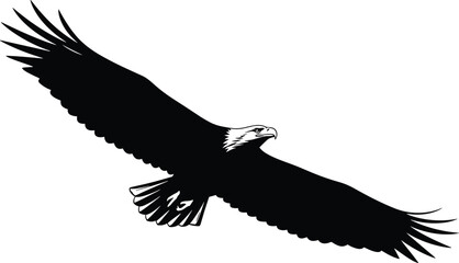Obraz premium Majestic flying eagle silhouette with wide spread wings, powerful bird of prey illustration in black vector style design wildlife logo artwork