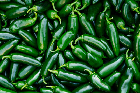 Fresh Jalapeno peppers