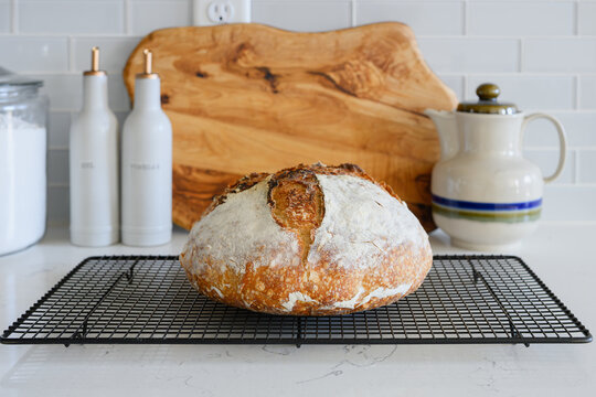 Homemade Sourdough Bread