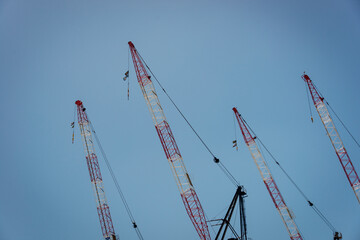 four construction cranes, red and white, against a clear blue sky, horizontal