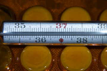 Close-up of a mercury thermometer showing a temperature of 37 degrees Celsius next to yellow pills