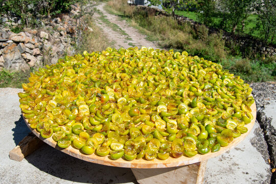 Cut green plums drying in the sun on a large round tray