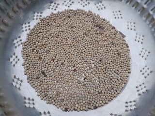 White peppers culinary herbs flavor seasoning ingredient spice. Cooking delicious meal helping  spice white pepper.  