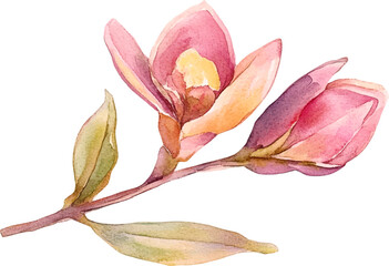 Delicate Watercolor Pink Blossoms on a Branch