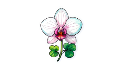 A white orchid flower illustration with pink accents, atop a stem with clover leaves