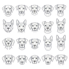 Adobe Illustrator Artwork