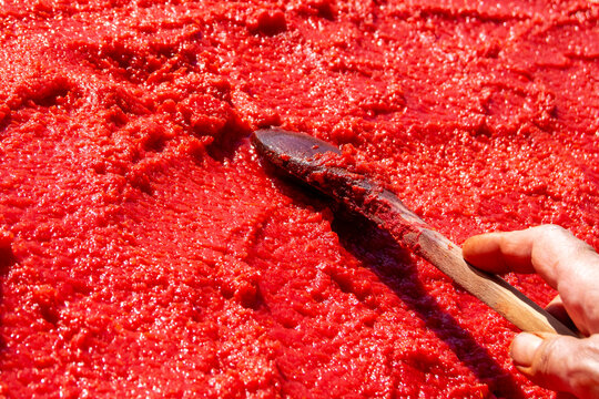 Hand spreading thick red tomato paste on a wooden drying tray